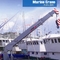 Marine Boom Jib Crane 40tons mit dem hydraulischen Herumdrehen für Schiff 18m/Min