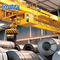 Stabiler Leistungs-Stahlwerk-Kran 30 Tonnen-Kapazitäts-breite Spannen-langlebiges Gut